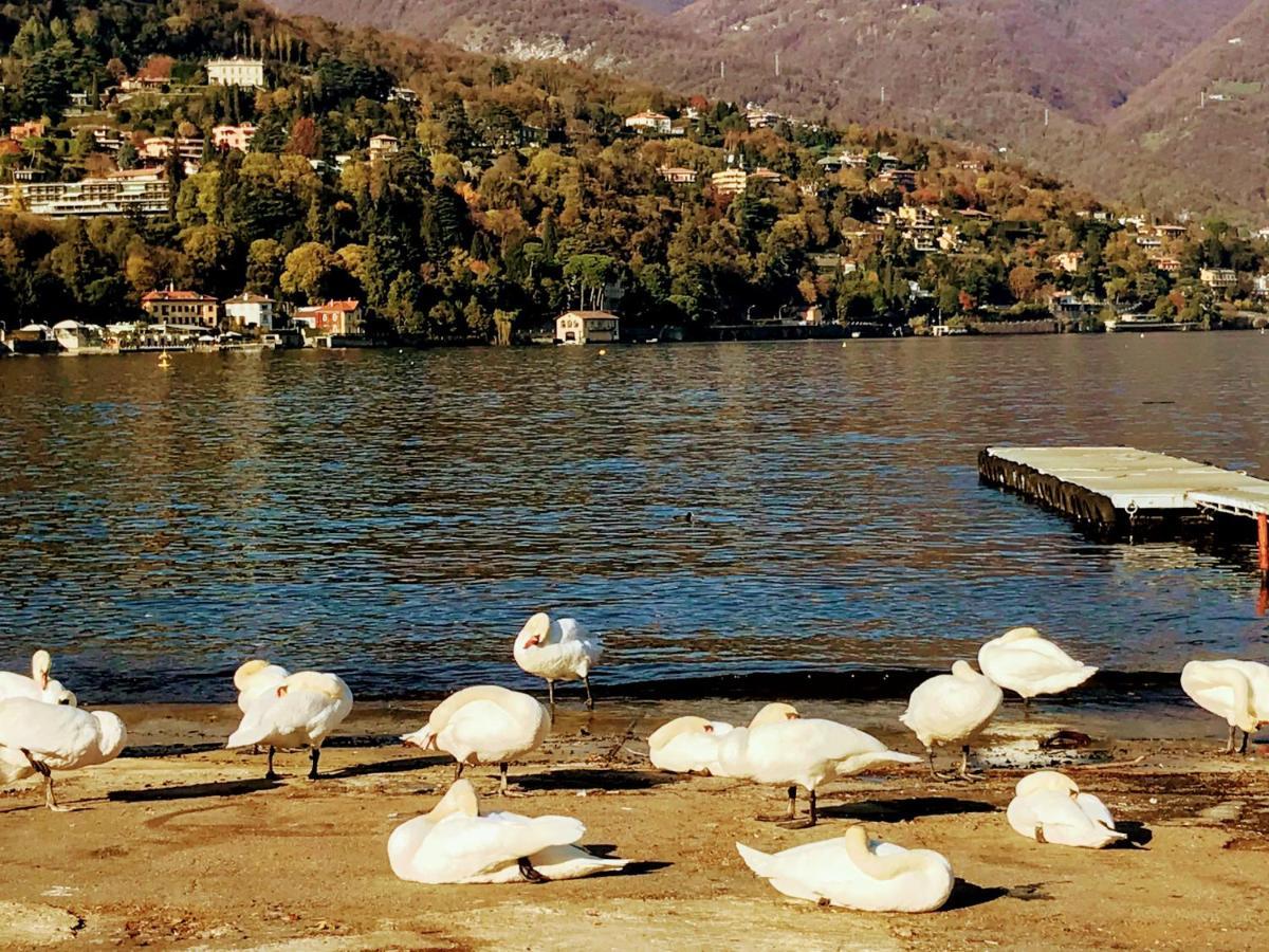 La Corte Di Cernobbio Bagian luar foto